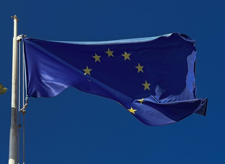 Vytautas Radžvilas, Vytautas Sinica. „Europai reikia pertvarkos“