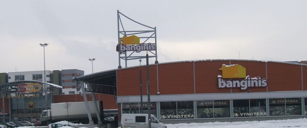 Banginis